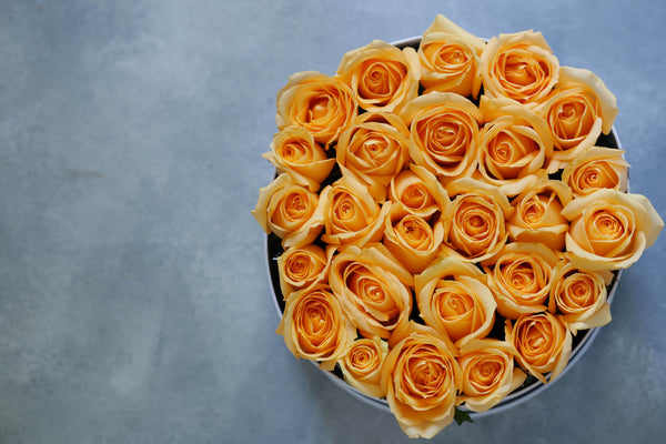 What do orange and peach roses mean? Orange and peach roses symbolism
