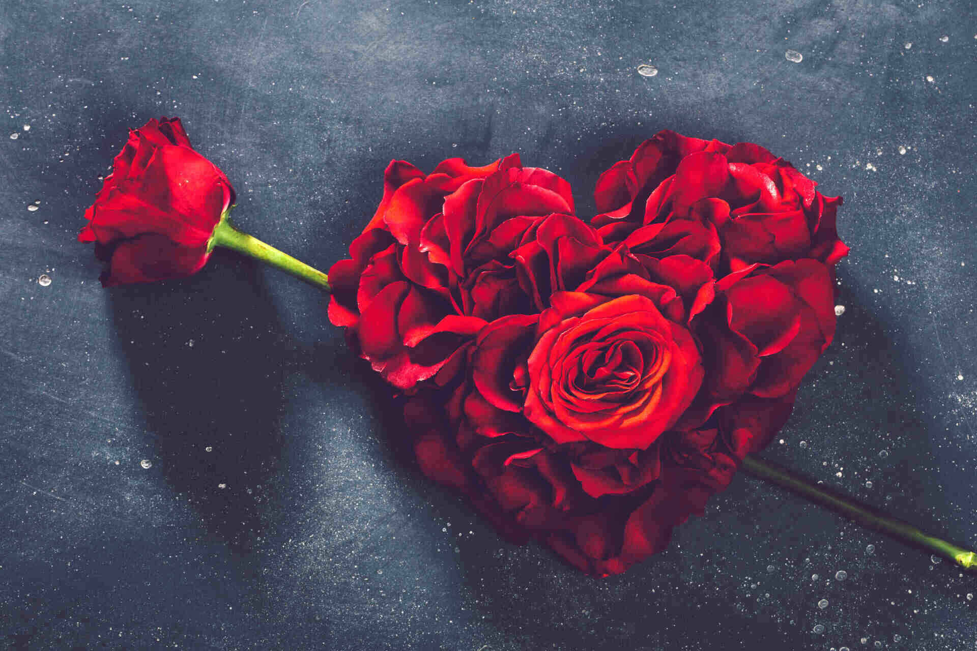 Heart Roses Vs Roses How to make Valentine’s roses and draw a heart – RoseGift.co.uk