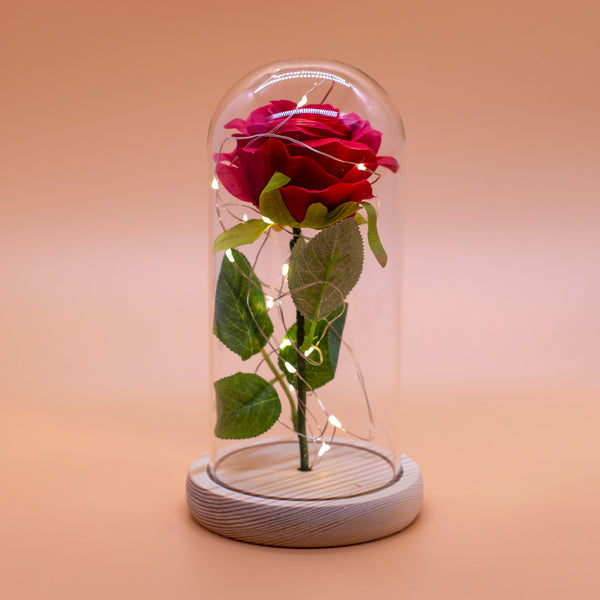 Red Rose in Glass Luxury with Lights - RoseGift.co.uk