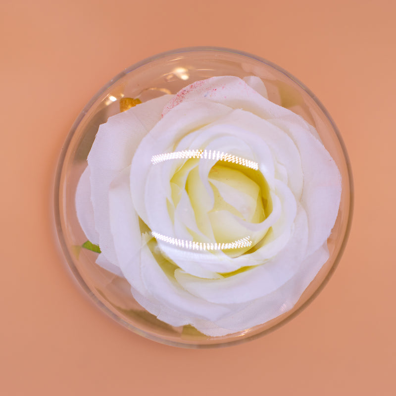 White Rose in Glass Luxury with Lights - RoseGift.co.uk