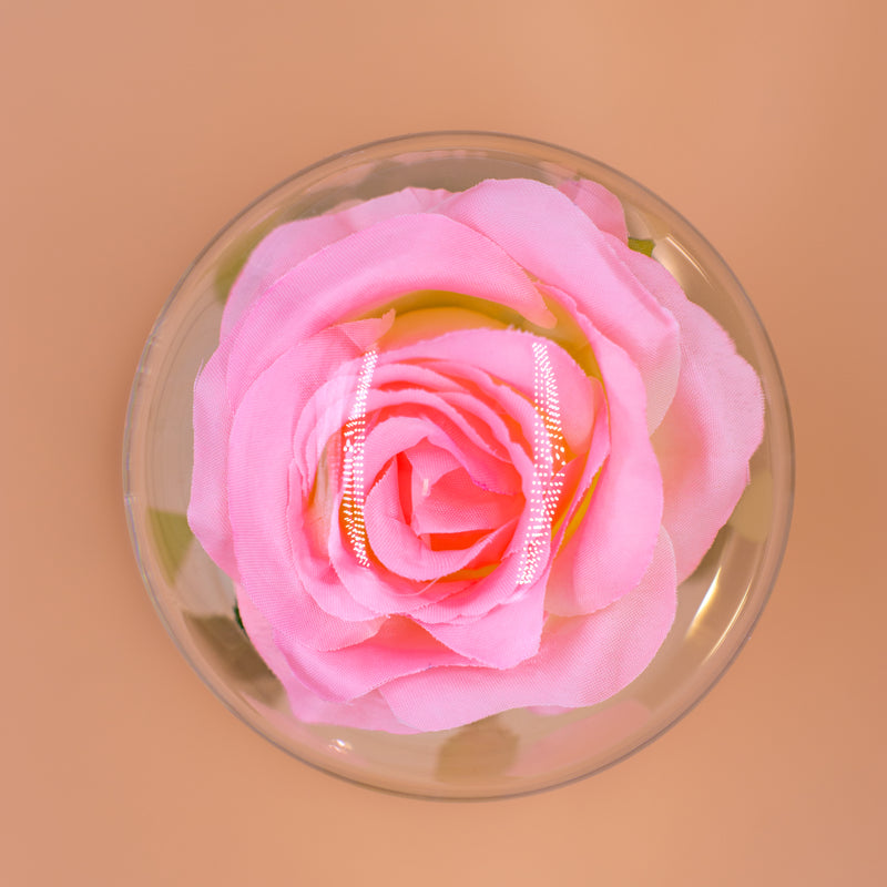 Pink Rose in Glass Luxury with Lights - RoseGift.co.uk